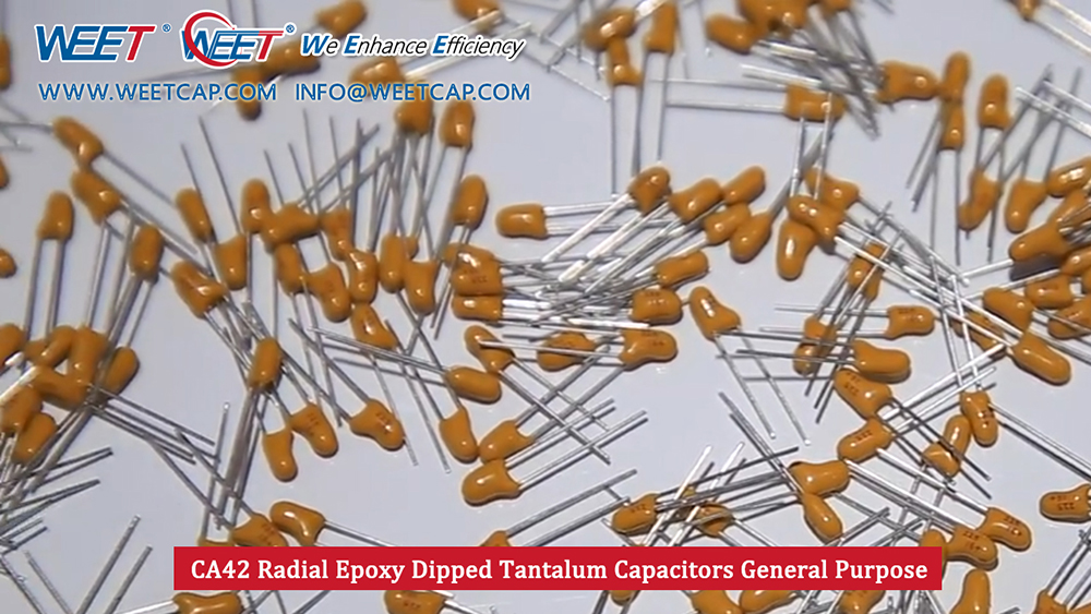 WTA-CA42-Tantalum-Capacitors-6.3V-10V-16V-25V-35V-50V-2.54mm-5.08mm-Pitch-0.1uF-to-1000uF-Bulk-Ammo